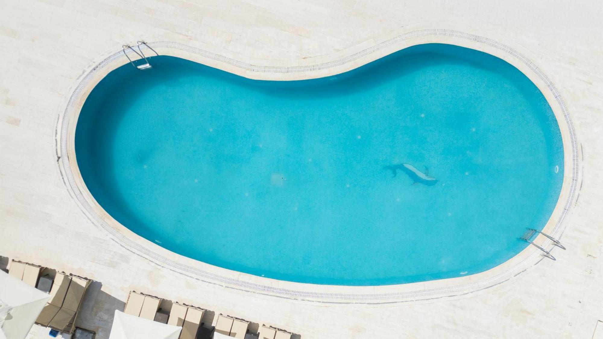 Salinas Beach Hotel Bodrum-Boutique Concept Gumbet ภายนอก รูปภาพ