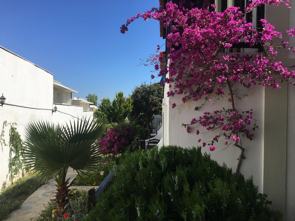Salinas Beach Hotel Bodrum-Boutique Concept Gumbet ภายนอก รูปภาพ