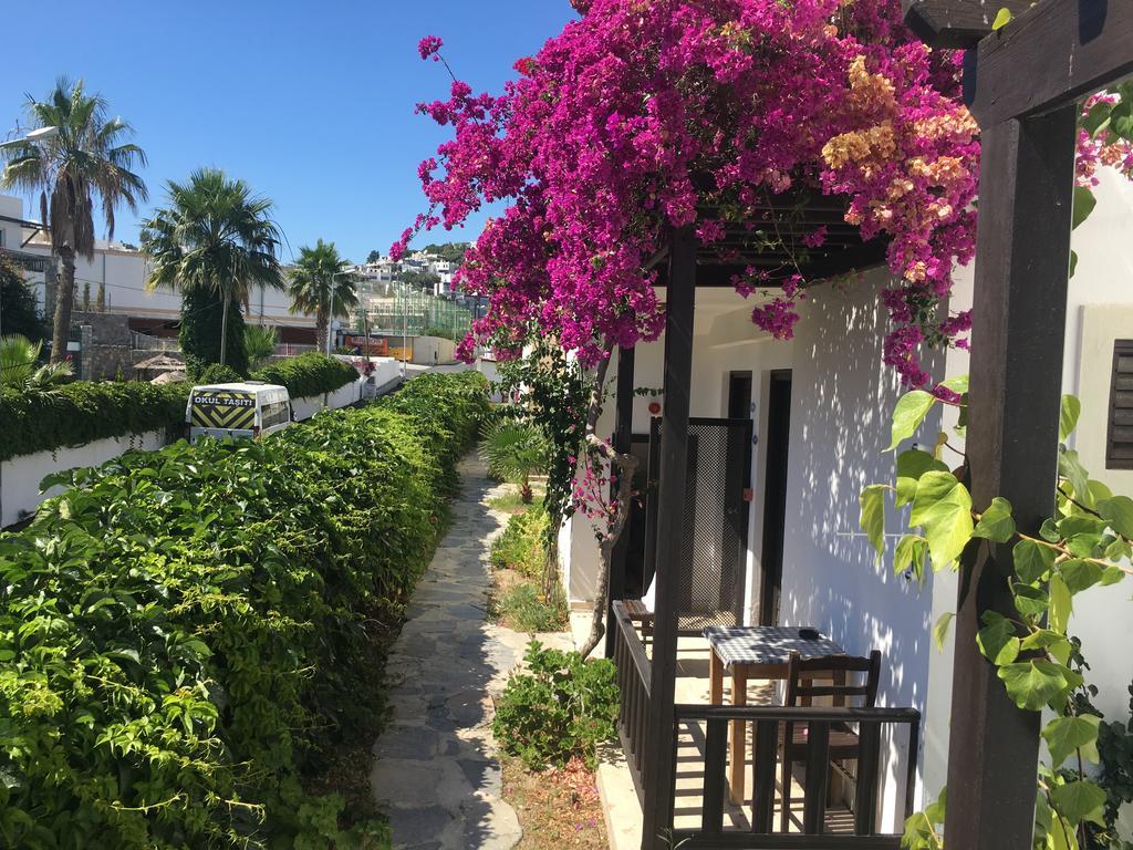 Salinas Beach Hotel Bodrum-Boutique Concept Gumbet ภายนอก รูปภาพ