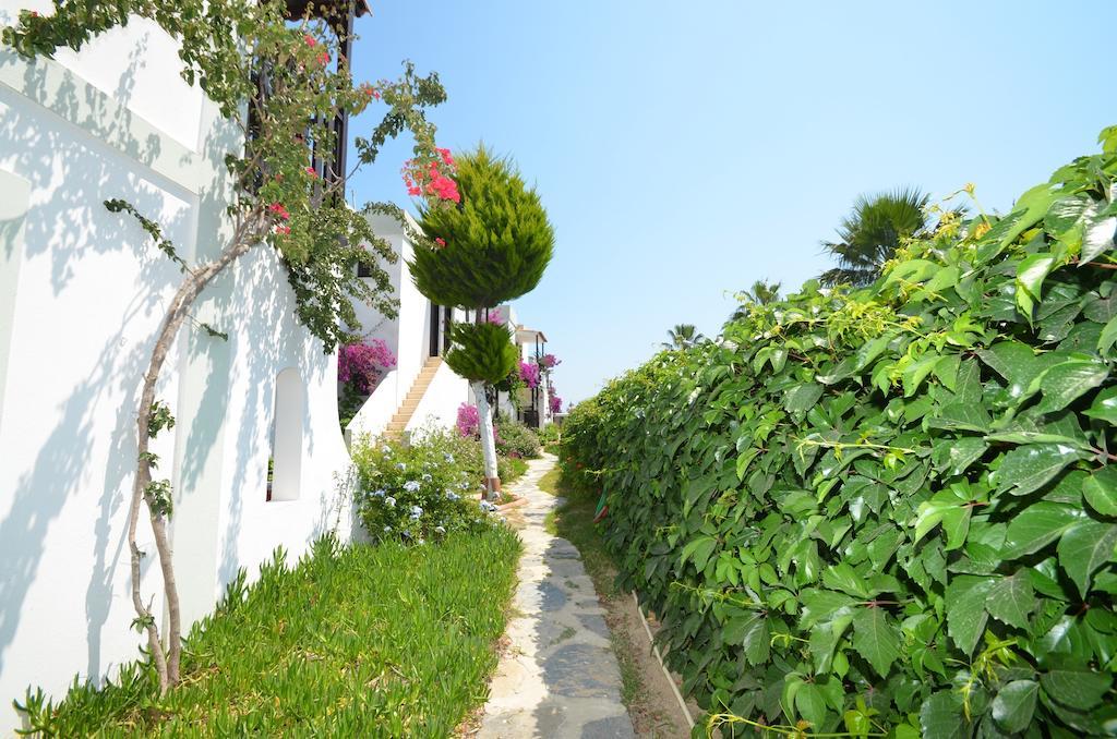Salinas Beach Hotel Bodrum-Boutique Concept Gumbet ภายนอก รูปภาพ